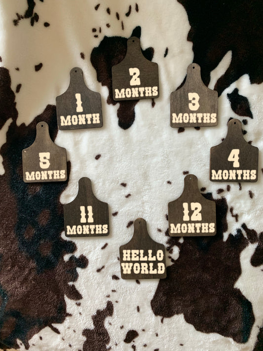 Cow Tag Milestone Photo Props Set