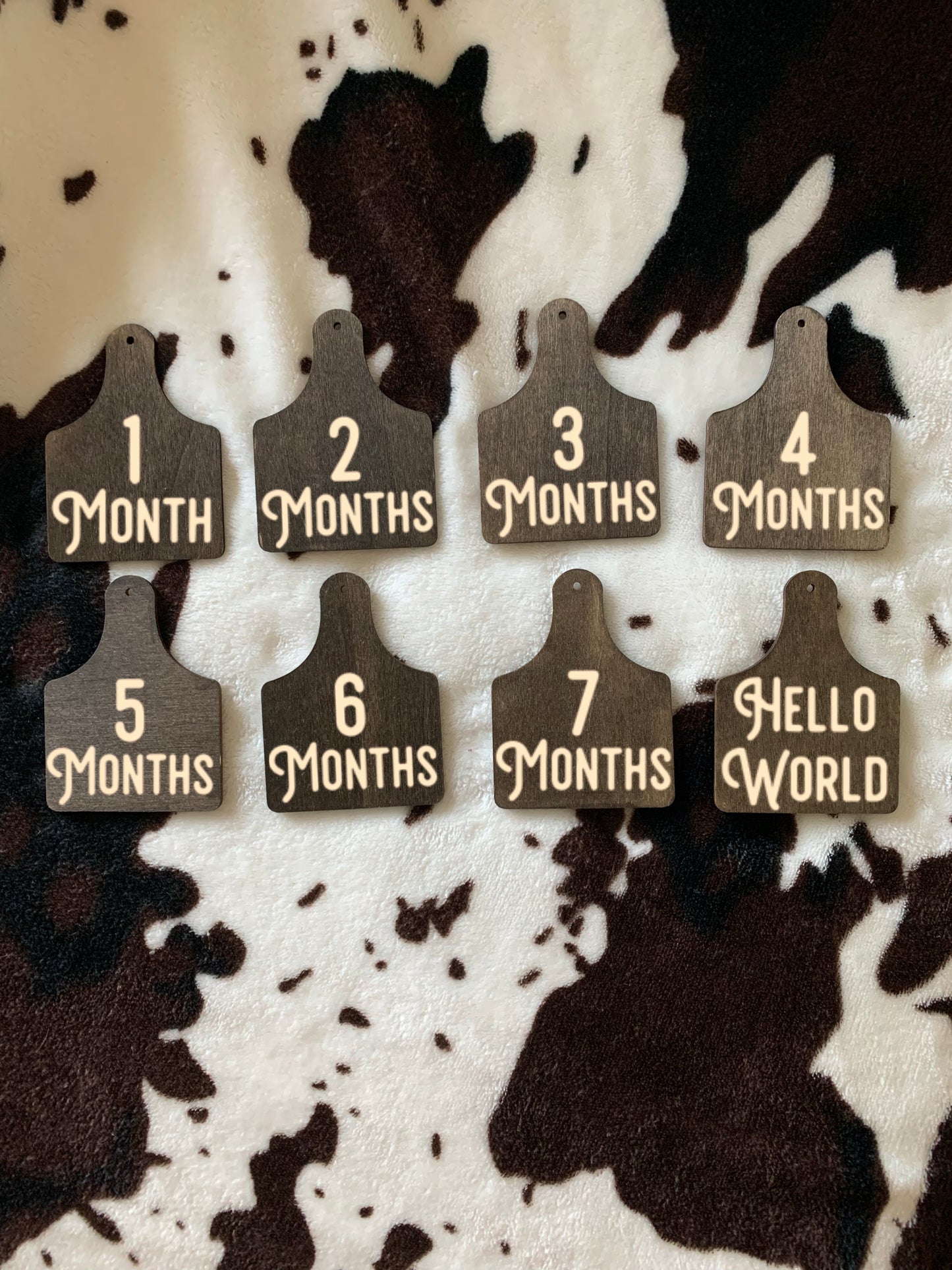 Cow Tag Milestone Photo Props Set