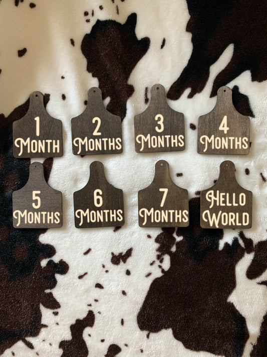 Cow Tag Milestone Photo Props Set