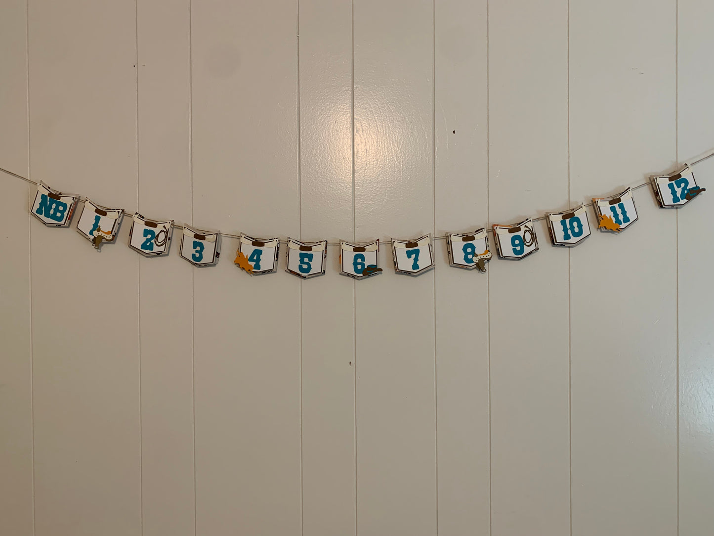 Western Month Milestone Photo Birthday Banner Garland